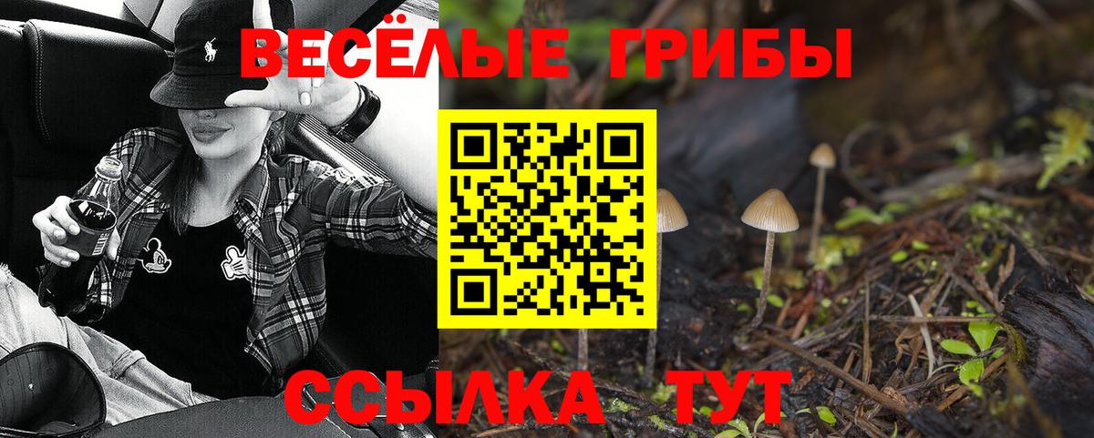 Галлюциногенные грибы GOLDEN TEACHER  Вход с VPN  Красноярск 